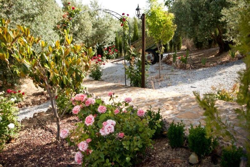 Casas Rurales Cazorla-Alcon Pozo Alcón Δωμάτιο φωτογραφία