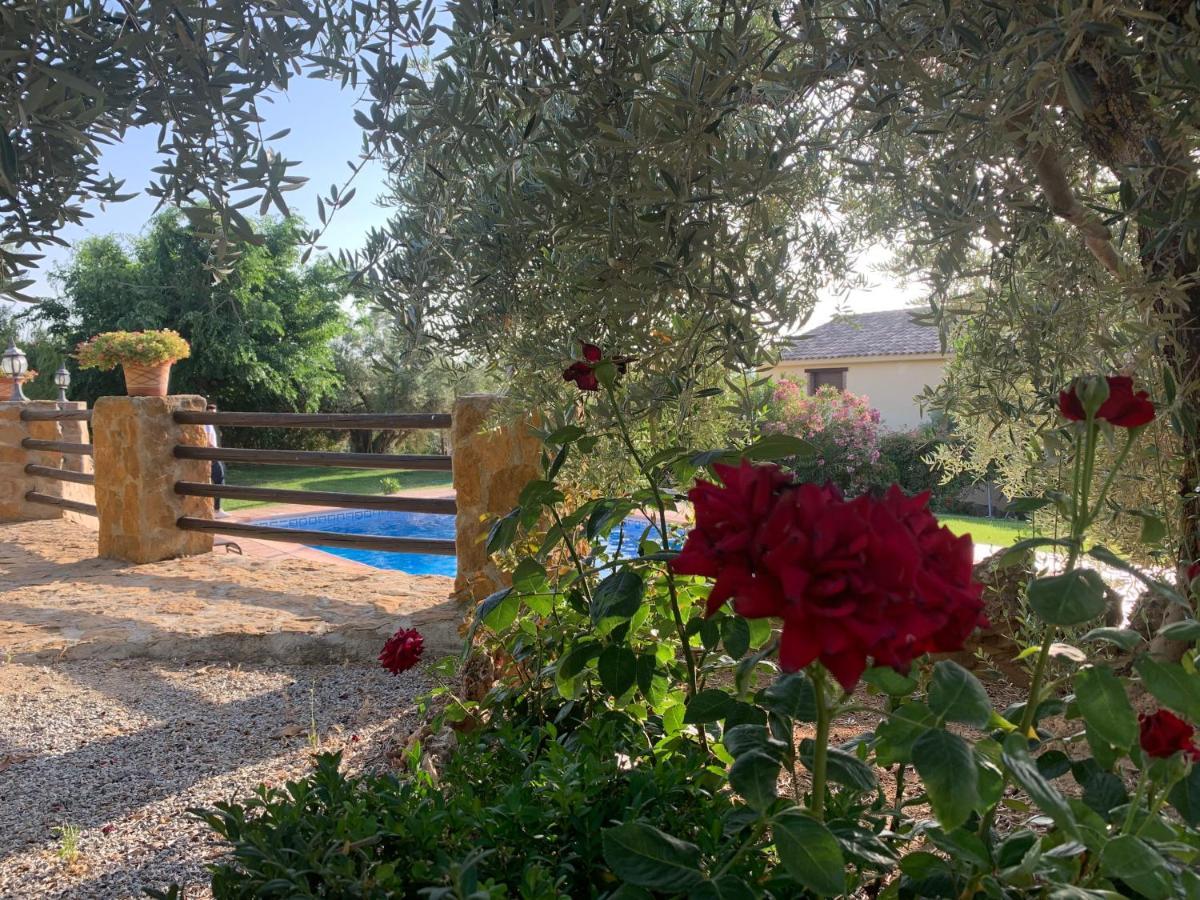 Casas Rurales Cazorla-Alcon Pozo Alcón Εξωτερικό φωτογραφία