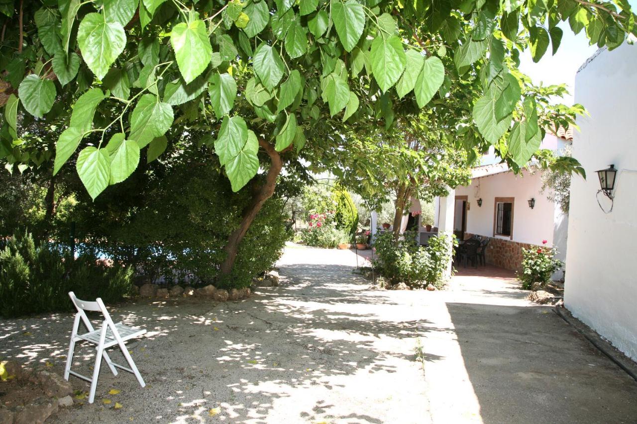 Casas Rurales Cazorla-Alcon Pozo Alcón Εξωτερικό φωτογραφία